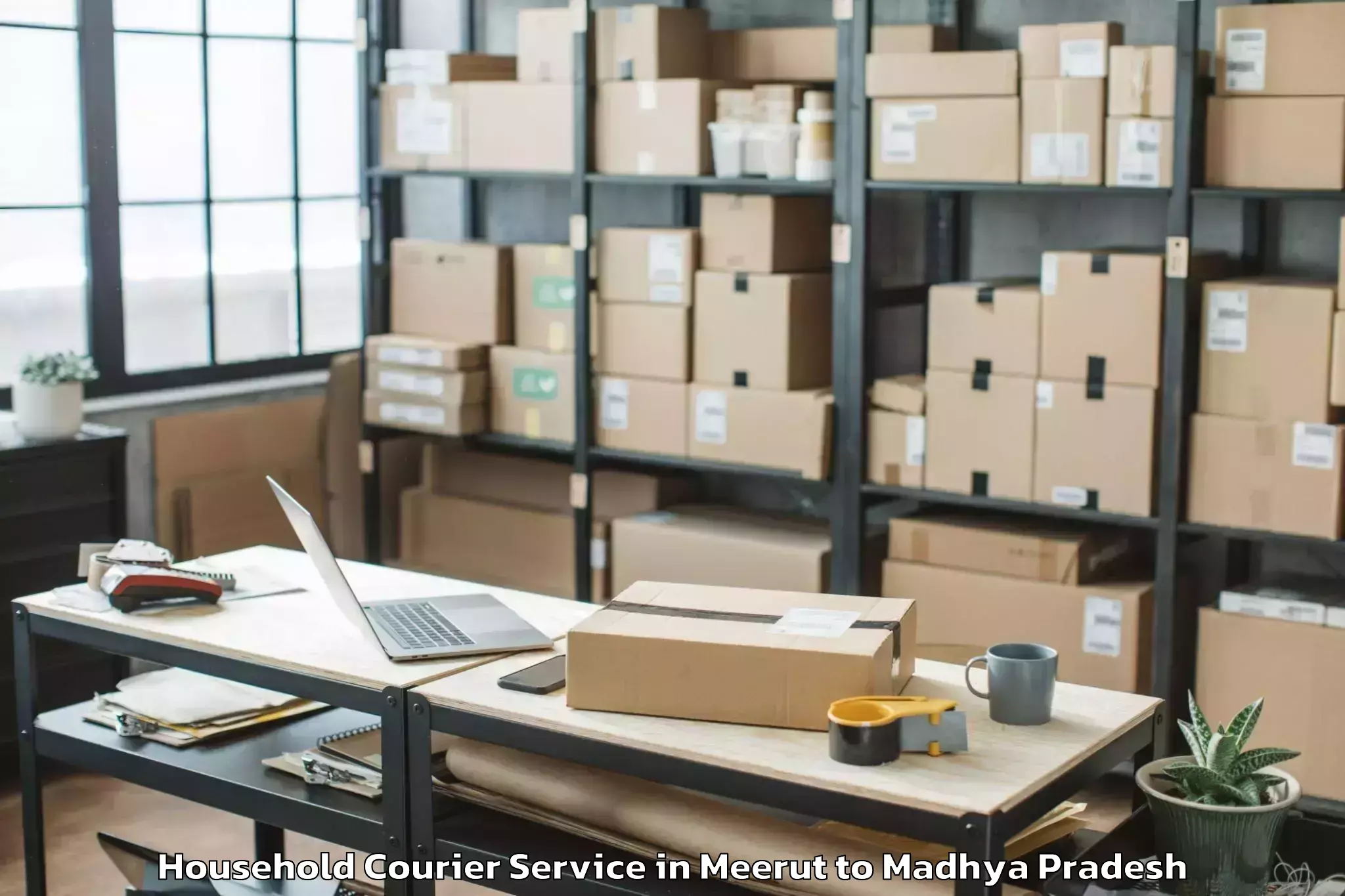 Easy Meerut to Gautampura Household Courier Booking